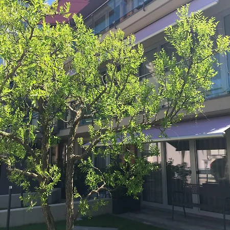 Rivetto מלון דירות אלבה