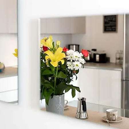 شقة فندقية Rivetto 4*