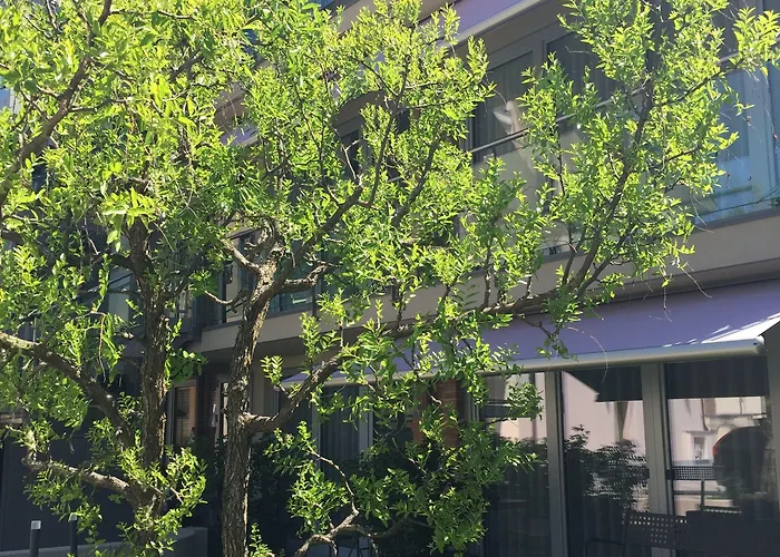 Rivetto Apart-hotel Alba (Piedmont)